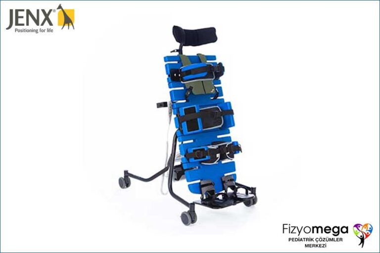 Sırtüstü Ayakta Durma